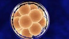 2026年佛山试管婴儿医院助孕费用详情，附上流程与优势！