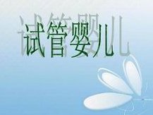 试管胚胎融合移植成功率虽高，三大注意仍需重视！