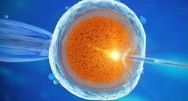 肇庆哪家医院能做三代试管？成功率大多在40%左右！