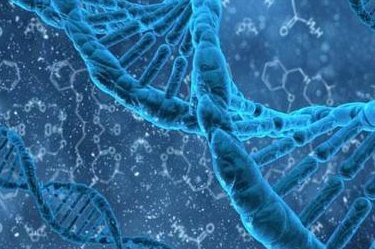 美国试管婴儿助孕？