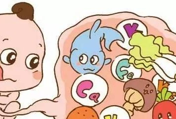 2026马来西亚试管费用全解析：明细与质量保证深度剖析！