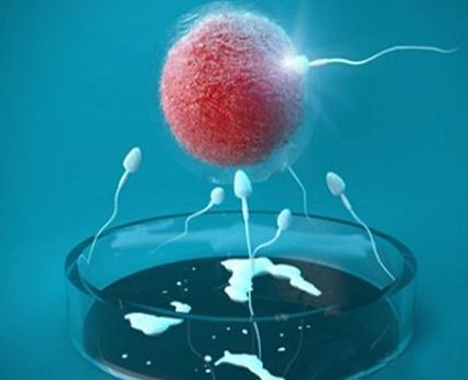 2026河北省四院试管婴儿成功率一览，附试管费用介绍