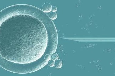 2026年的日本第三代试管婴儿比较好的医院推荐哪些医院可以做